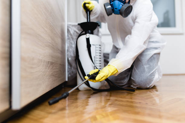 Best Residential Pest Control  in Kaufman, TX