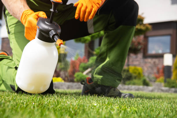 Best Pest Control for Businesses  in Kaufman, TX