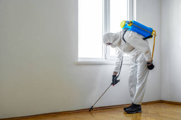 Best Mosquito Control Services  in Kaufman, TX