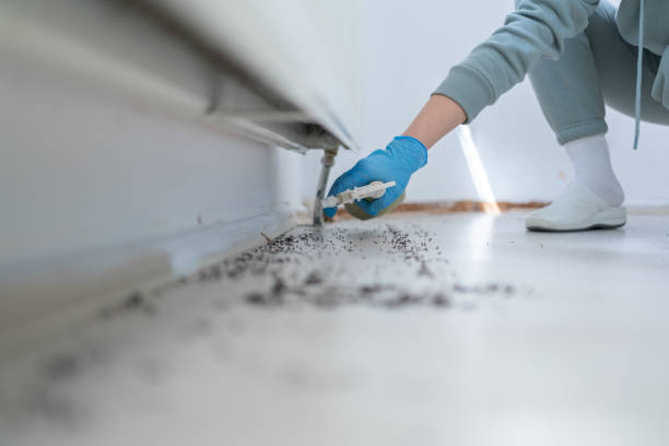 Wildlife Control Services in Kaufman, TX