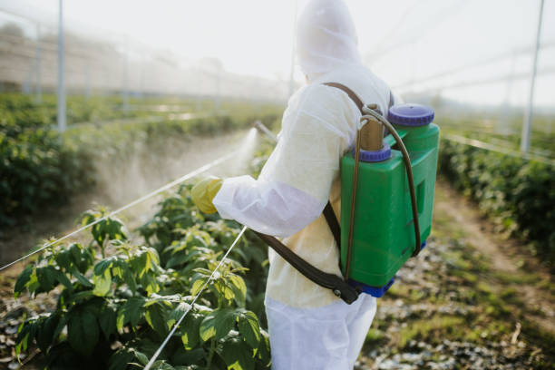 Best Bed Bug Extermination  in Kaufman, TX